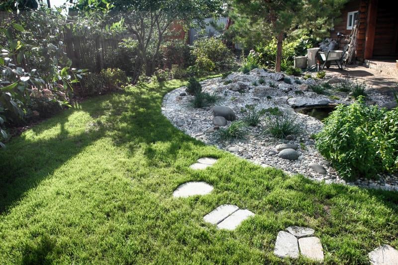 Terre de bruyère, pourquoi est-elle indispensable pour vos plantes acidophiles ?