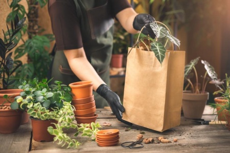 Quels avantages à opter pour une livraison de terreau à domicile ?