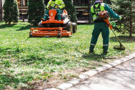 Paillage en vrac, les multiples bénéfices pour votre jardin écologique