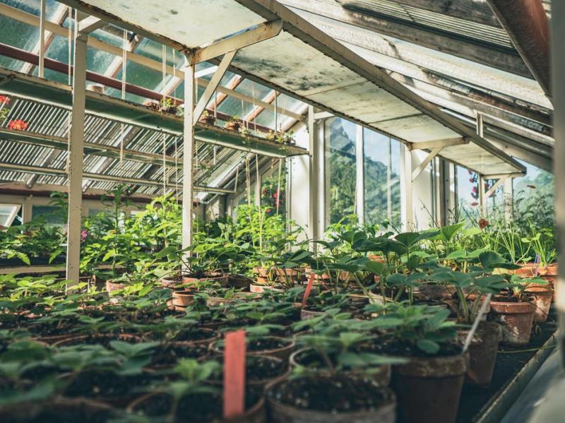 Substrat de plantation &agrave; Suc&eacute;-sur-Erdre : comment faire le bon choix ?